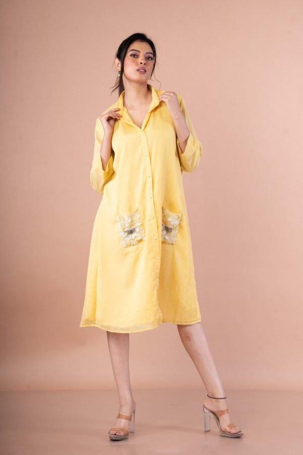 Flowy shirt dress with Appliqué Embroidery - Image 3