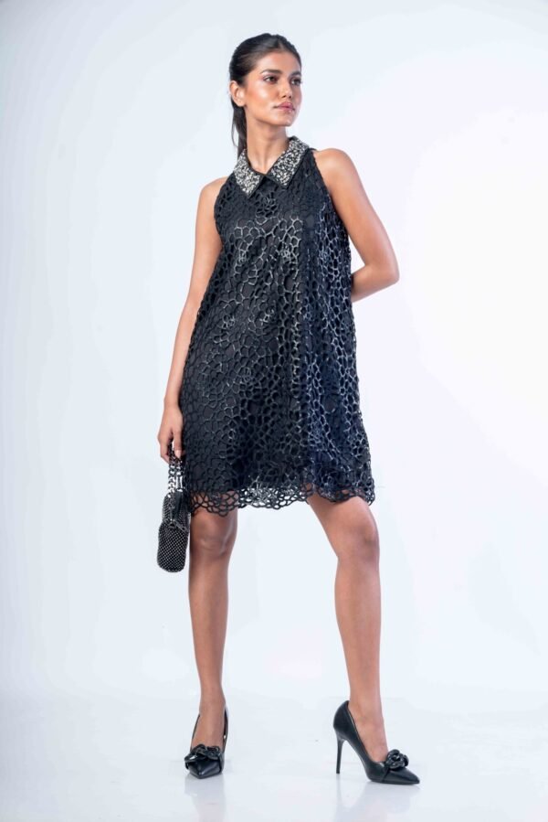 Cutwork with Stone collar dress