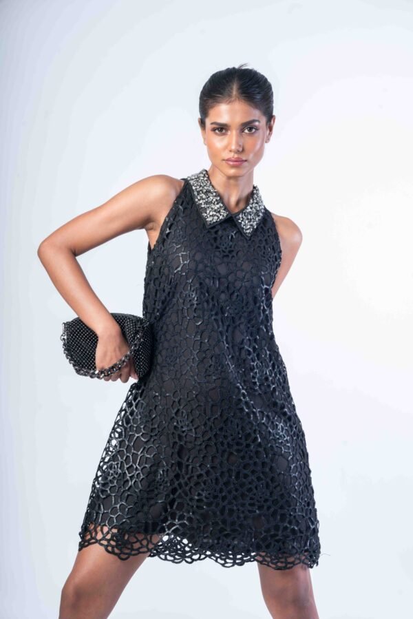 Cutwork with Stone collar dress - Image 2