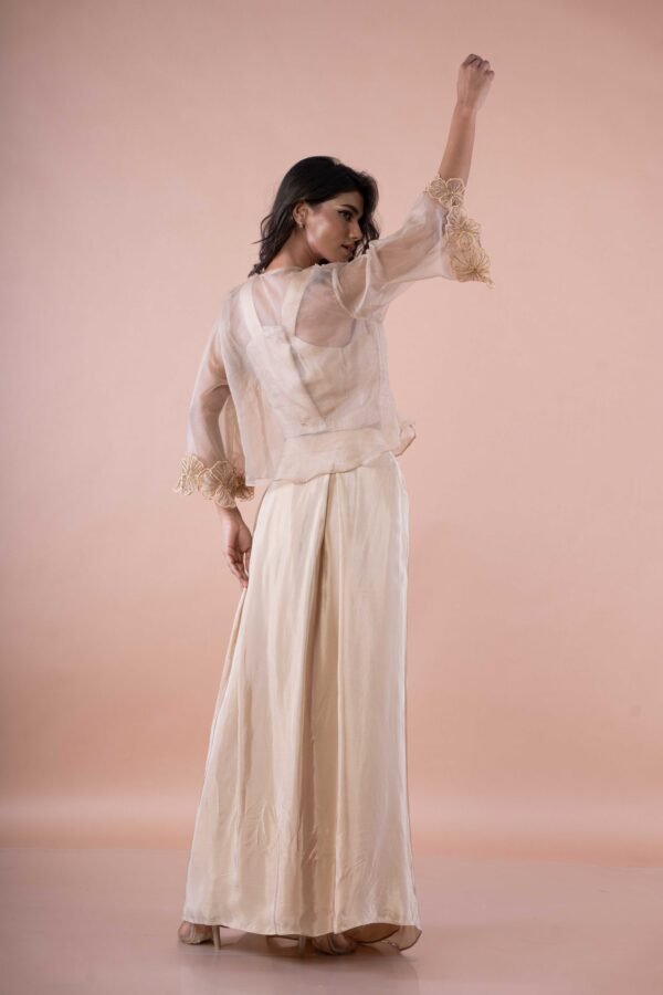 Beige crop top - Drape long skirt & Flower cut net top - Image 4