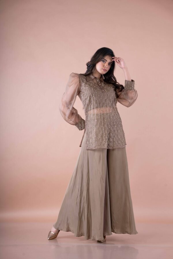 Golden brown crop top with Palazzo pants & Work net long top