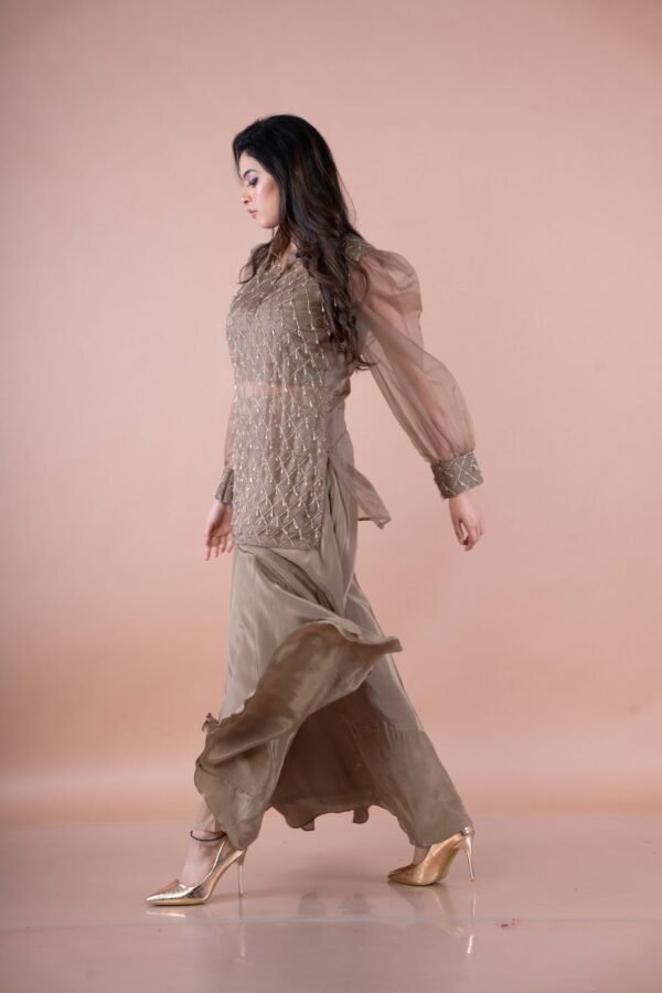 Golden brown crop top with Palazzo pants & Work net long top - Image 3