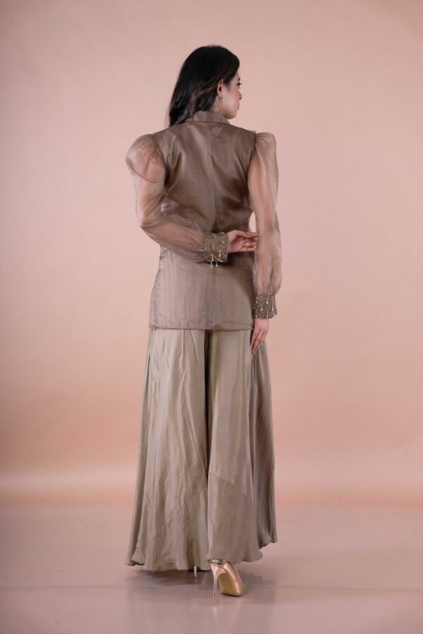 Golden brown crop top with Palazzo pants & Work net long top - Image 4