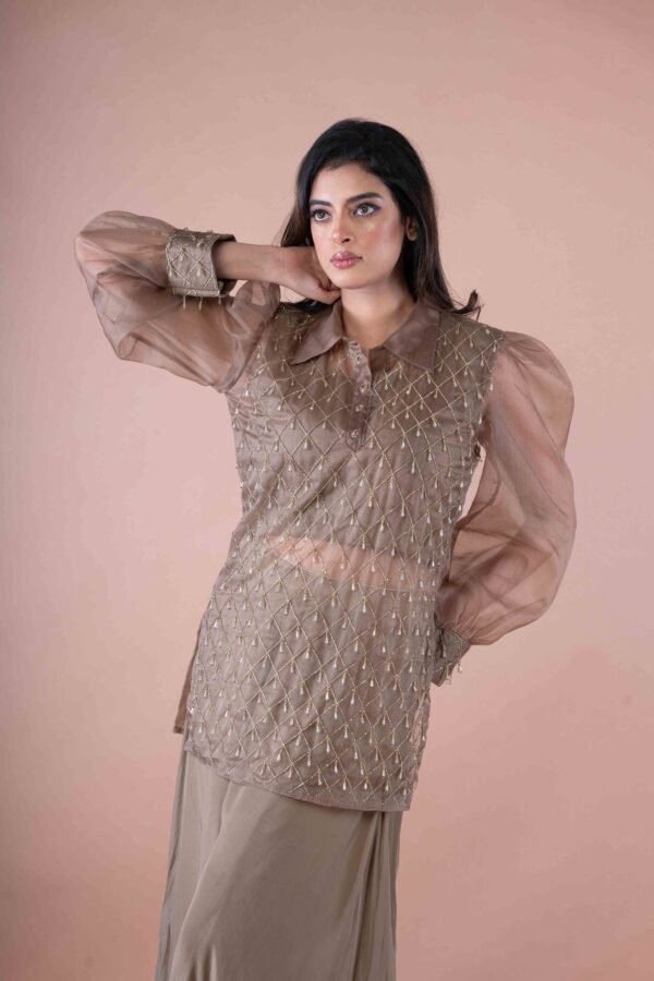 Golden brown crop top with Palazzo pants & Work net long top - Image 2