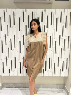 Brown & Beige Dress