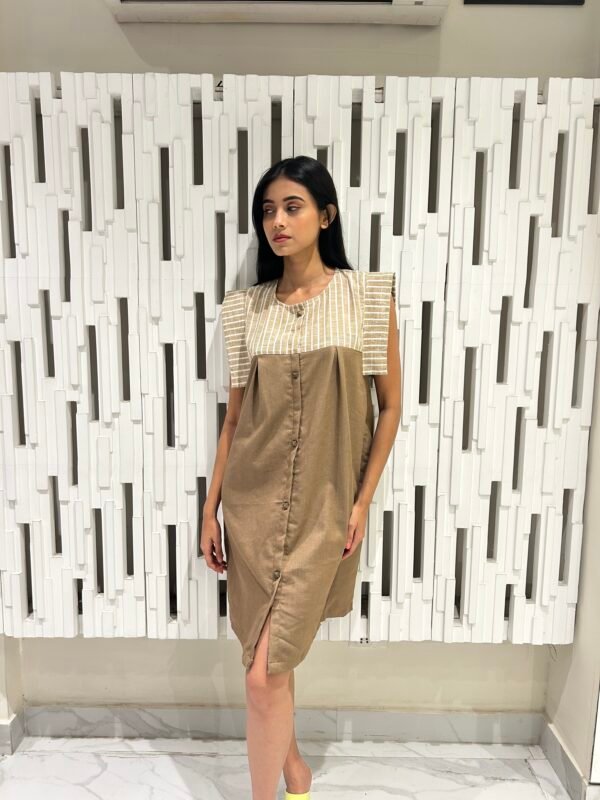 Brown & Beige Dress